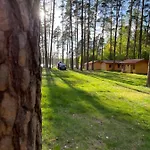 I Pole Namiotowe Pod Sosnami