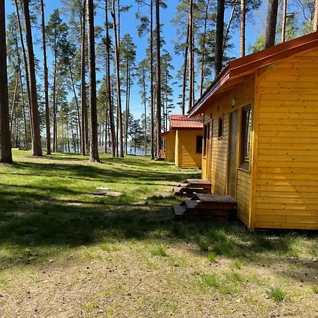 I Pole Namiotowe Pod Sosnami Tatil Evi *