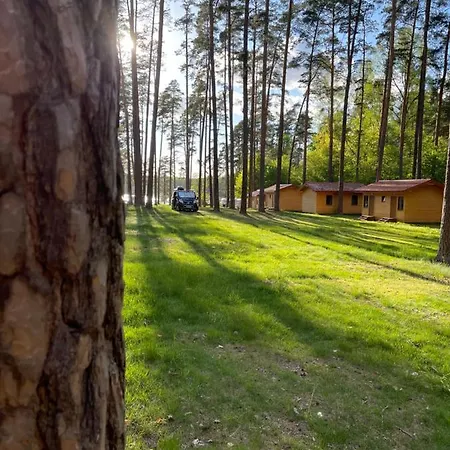 I Pole Namiotowe Pod Sosnami